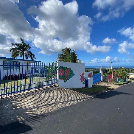 Million Dollar View In Puerto Rico Villa Luquillo Dış mekan fotoğraf