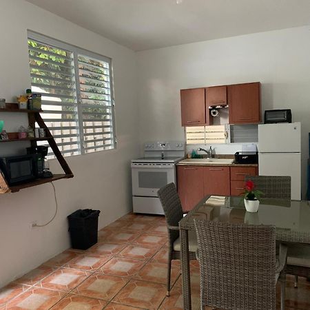 Million Dollar View In Puerto Rico Villa Luquillo Dış mekan fotoğraf