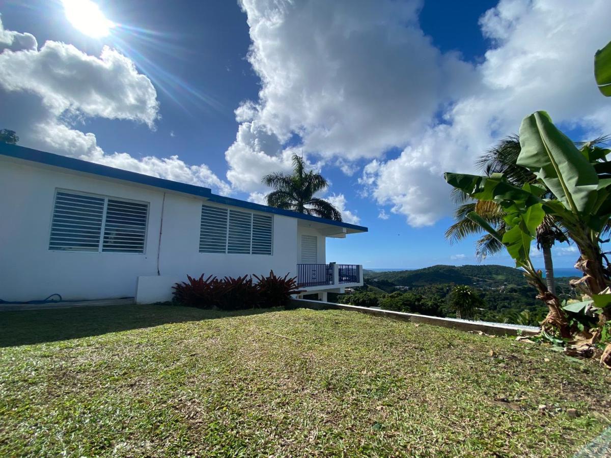 Million Dollar View In Puerto Rico Villa Luquillo Dış mekan fotoğraf