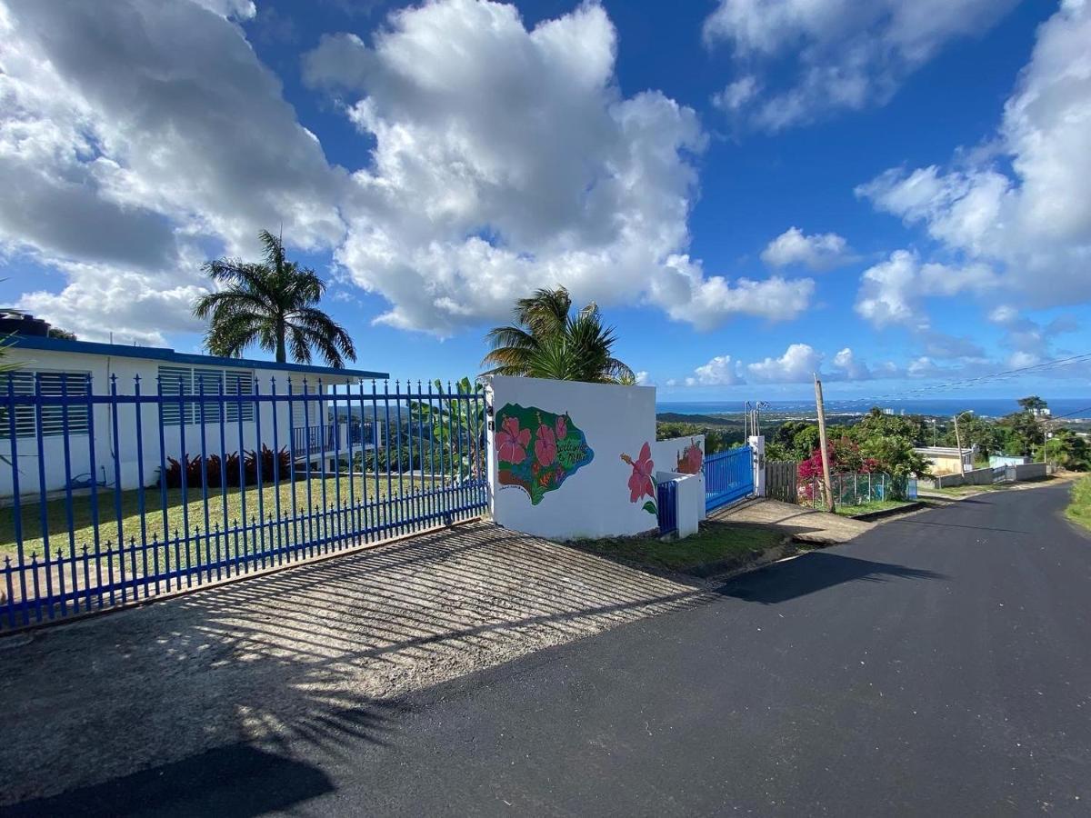 Million Dollar View In Puerto Rico Villa Luquillo Dış mekan fotoğraf