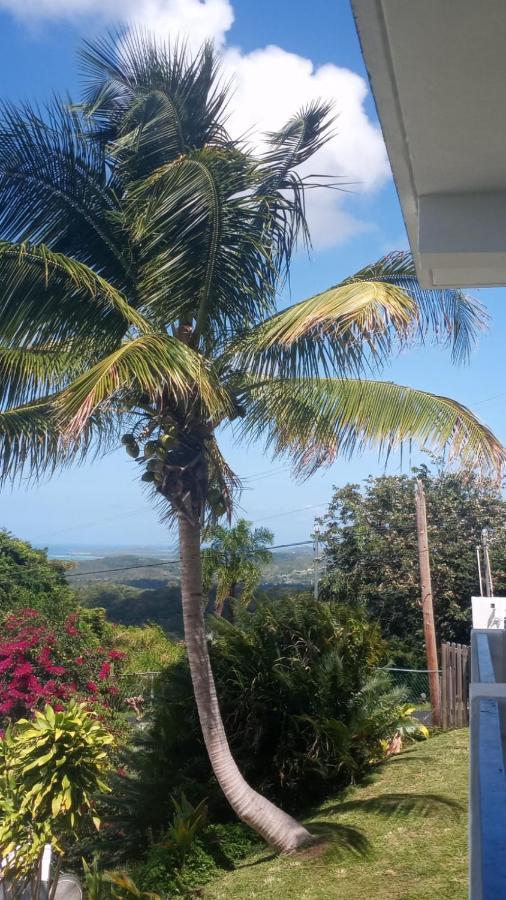 Million Dollar View In Puerto Rico Villa Luquillo Dış mekan fotoğraf