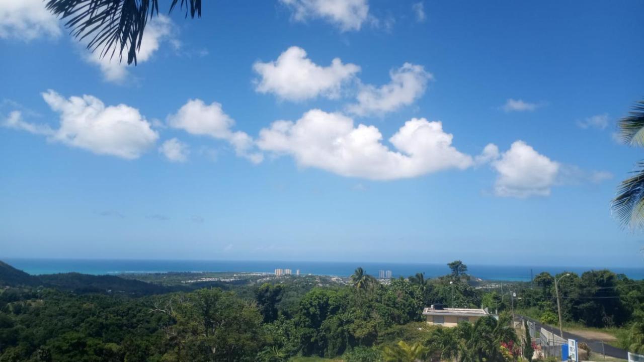 Million Dollar View In Puerto Rico Villa Luquillo Dış mekan fotoğraf