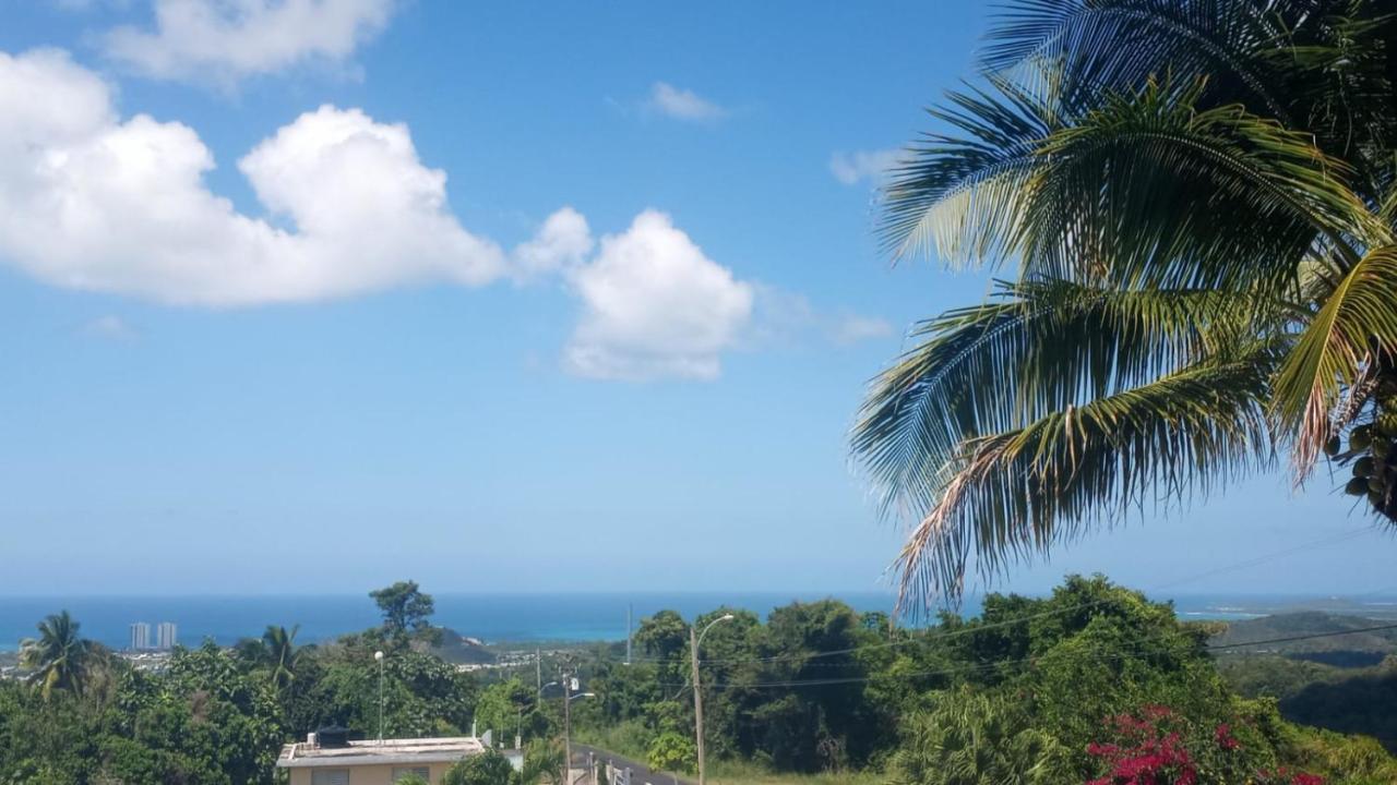 Million Dollar View In Puerto Rico Villa Luquillo Dış mekan fotoğraf