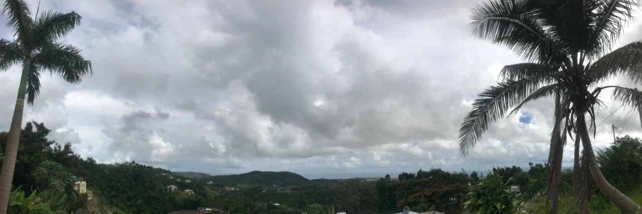 Million Dollar View In Puerto Rico Villa Luquillo Dış mekan fotoğraf