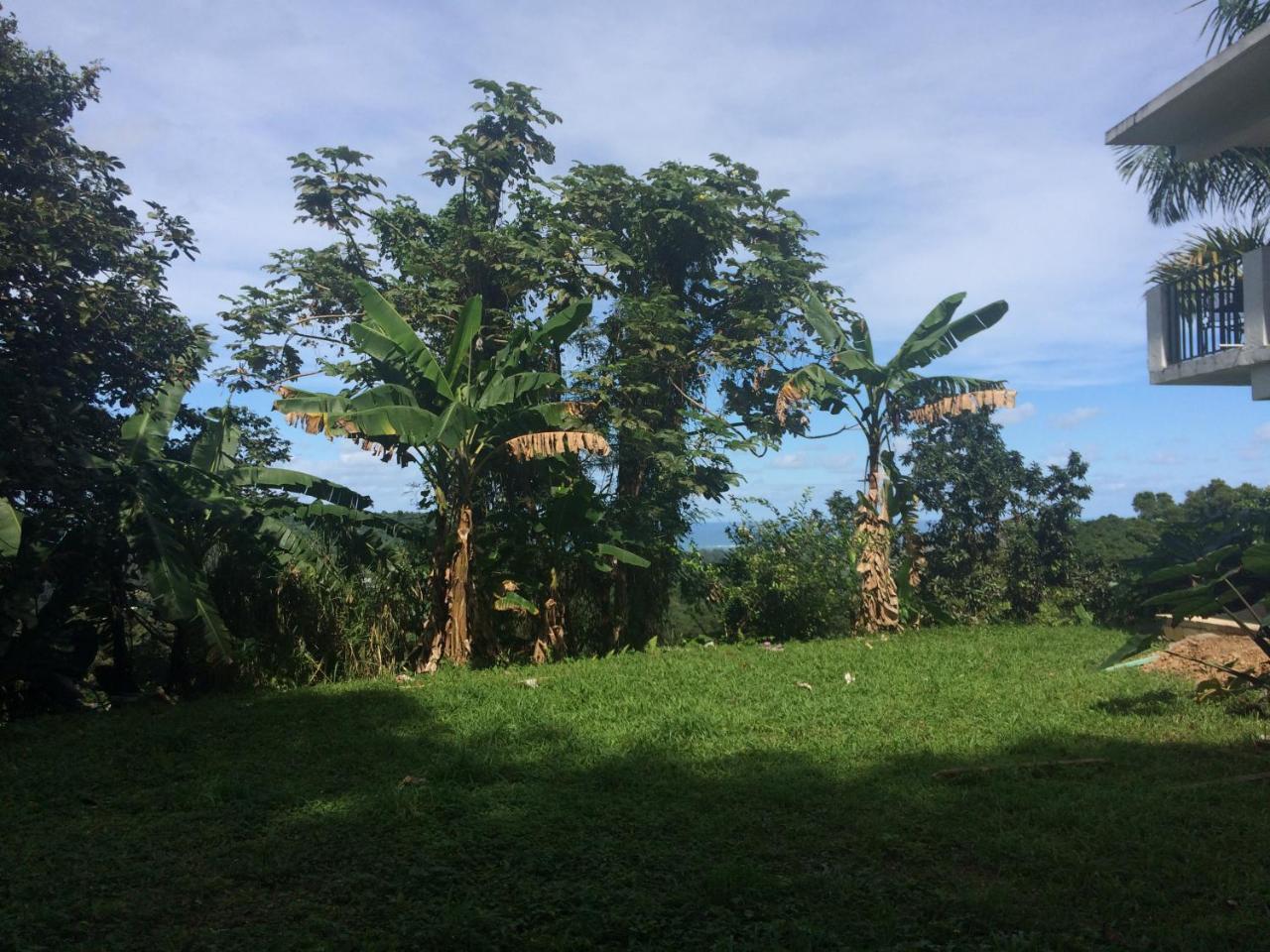 Million Dollar View In Puerto Rico Villa Luquillo Dış mekan fotoğraf